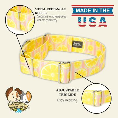 Show full view: Country Brook Petz HossFit Jr Pink Lemonade Wide Martingale Dog Collar, Large slide 2 of 9