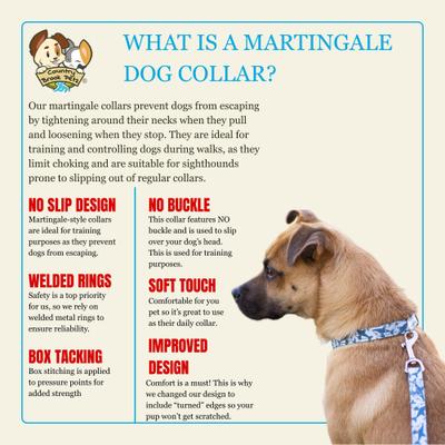 Show full view: Country Brook Petz HossFit Jr Just Ducky Wide Martingale Dog Collar, Blue, Medium: 15 to 21-in neck, 1.5-in wide slide 5 of 8