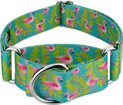 Country Brook Petz HossFit Jr Flamingos Wide Martingale Dog Collar, Large