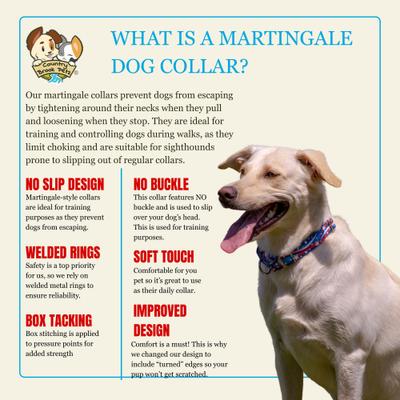 Show full view: Country Brook Petz HossFit Jr Star Spangled Wide Martingale Dog Collar, Large slide 8 of 9