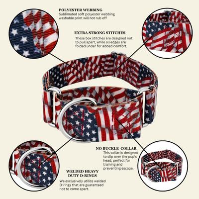 Show full view: Country Brook Petz HossFit Jr Patriotic Tribute Wide Martingale Dog Collar, Medium slide 10 of 10