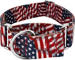 Country Brook Petz HossFit Jr Patriotic Tribute Wide Martingale Dog Collar, Large slide 1 of 9