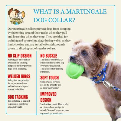 Show full view: Country Brook Petz HossFit Jr Duty Honor Country Wide Martingale Dog Collar, Blue, X-Large: 23 to 31-in neck, 1.5-in wide slide 8 of 9