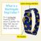 Show in main carousel: Country Brook Petz HossFit Jr Duty Honor Country Wide Martingale Dog Collar, Blue, X-Large: 23 to 31-in neck, 1.5-in wide slide 6 of 9