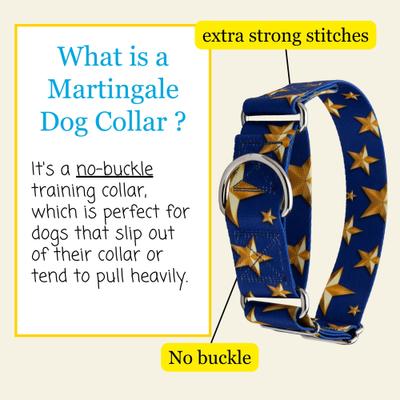 Show full view: Country Brook Petz HossFit Jr Duty Honor Country Wide Martingale Dog Collar, Blue, X-Large: 23 to 31-in neck, 1.5-in wide slide 6 of 9