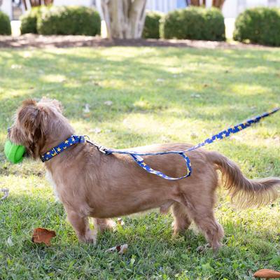 Show full view: Country Brook Petz HossFit Jr Duty Honor Country Wide Martingale Dog Collar, Blue, X-Large: 23 to 31-in neck, 1.5-in wide slide 4 of 9