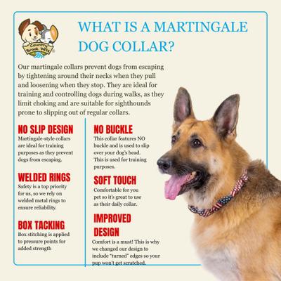 Show full view: Country Brook Petz HossFit Jr American Celebration Wide Martingale Dog Collar, Blue, Medium: 15 to 21-in neck, 1.5-in wide slide 5 of 8