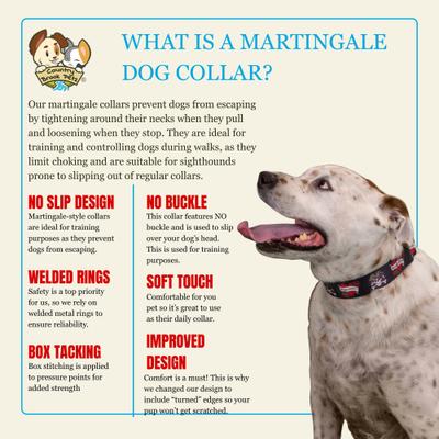 Show full view: Country Brook Petz HossFit Jr Blue Polynesian Wide Martingale Dog Collar, Medium slide 6 of 9