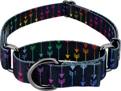 Country Brook Petz Colorful Arrows Gunmetal Martingale Dog Collar, Black, Small: 11 to 15-in neck, 5/8-in wide