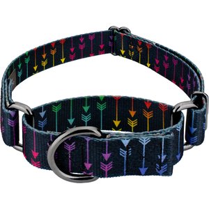 Country Brook Petz Colorful Arrows Gunmetal Martingale Dog Collar, Black, X-Large: 23 to 31-in neck, 1-in wide