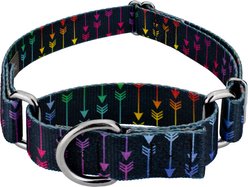 Country Brook Petz Colorful Arrows Martingale Dog Collar, Black, X-Small: 9 to 12-in neck, 1/2-in wide