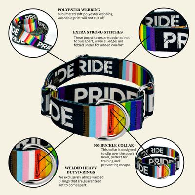 Show full view: Country Brook Petz HossFit Pride Wide Martingale Dog Collar, Black, X-Large: 23 to 31-in neck, 1.5-in wide slide 9 of 9