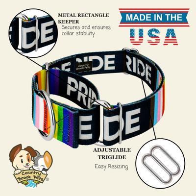 Show full view: Country Brook Petz HossFit Pride Wide Martingale Dog Collar, Black, X-Large: 23 to 31-in neck, 1.5-in wide slide 2 of 9