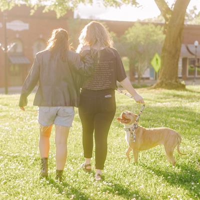 Show full view: Country Brook Petz HossFit Pride Wide Martingale Dog Collar, Black, X-Large: 23 to 31-in neck, 1.5-in wide slide 4 of 9