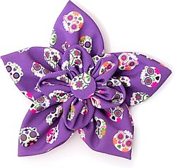 The Worthy Dog Skeletons Flower Dog Collar Accessory, Purple, Small