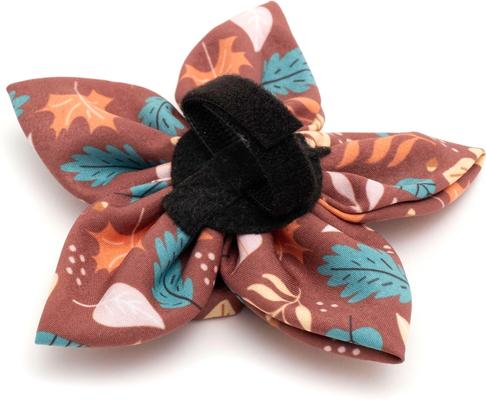 Show full view: The Worthy Dog Falling Leaves Flower Dog Collar Accessory, Brown, Large slide 4 of 4