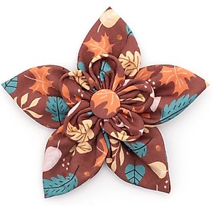 The Worthy Dog Falling Leaves Flower Dog Collar Accessory, Brown, Large