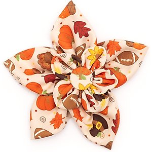 The Worthy Dog Fallelujah Flower Dog Collar Accessory, Beige, Small