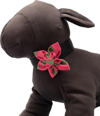 Show full view: The Worthy Dog Al the Gator Flower Dog Collar Accessory, Pink, Large slide 4 of 4