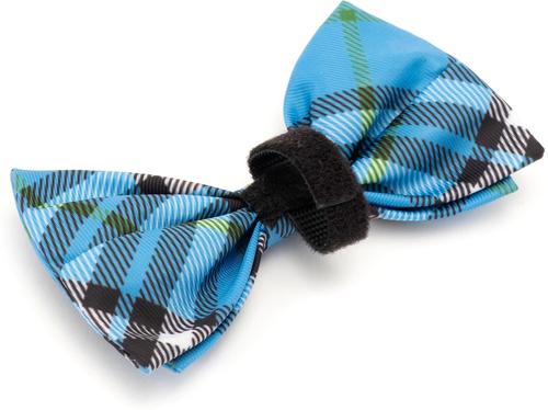 Show full view: The Worthy Dog Bias Plaid Dog Bow Tie, Blue, Large slide 3 of 4