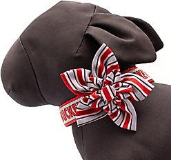 The License House Ohio State Helmet Stripe Flower Dog Collar Accessory, Gray, Large slide 2 of 3