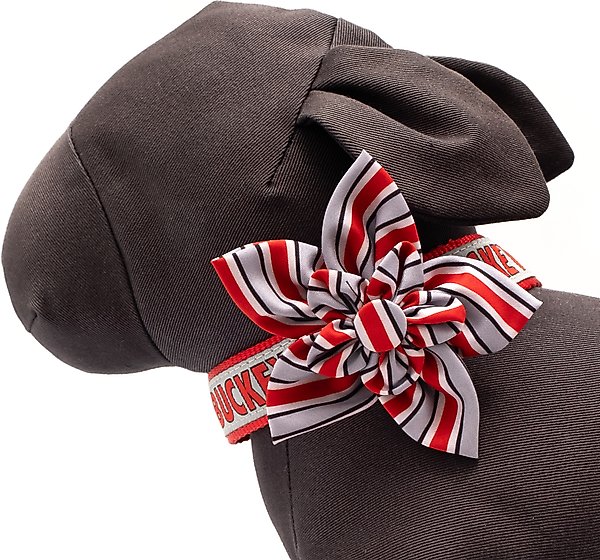 Show full view: The License House Ohio State Helmet Stripe Flower Dog Collar Accessory, Gray, Large slide 3 of 3