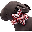 Show in main carousel: The License House Ohio State Helmet Stripe Flower Dog Collar Accessory, Gray, Large slide 3 of 3