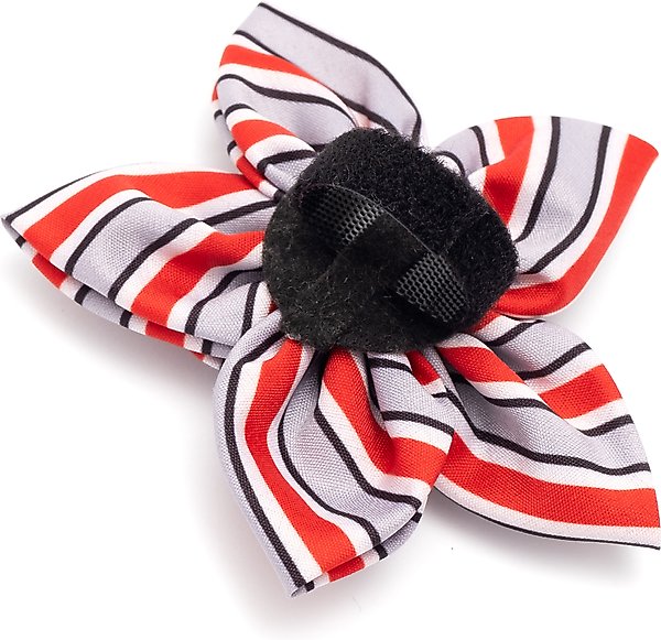Show full view: The License House Ohio State Helmet Stripe Flower Dog Collar Accessory, Gray, Large slide 2 of 3