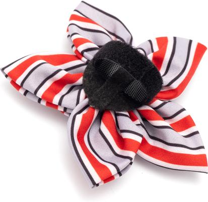Show full view: The License House Ohio State Helmet Stripe Flower Dog Collar Accessory, Gray, Small slide 2 of 3