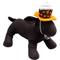 Show in main carousel: The Worthy Dog Pumpkin Spice Party Dog Hat, Brown, Large slide 3 of 6