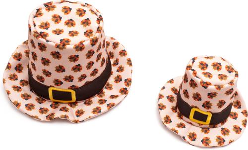 Show full view: The Worthy Dog Pilgrim Party Dog Hat, Beige, Small slide 3 of 4