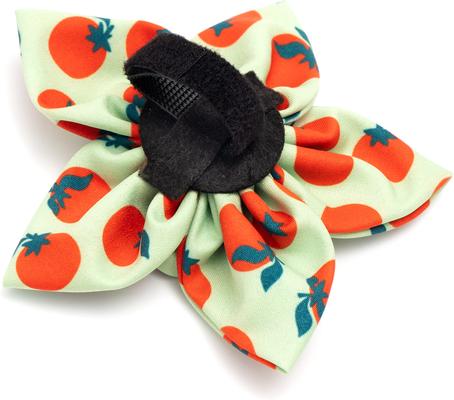 Show full view: The Worthy Dog Tomatoes Flower Dog Collar Accessory, Green, Small slide 4 of 4