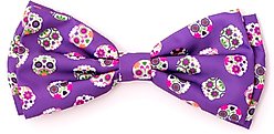 The Worthy Dog Skeletons Dog Bow Tie, Purple, Small slide 1 of 3