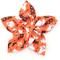 Show in main carousel: The Worthy Dog Spooky Flower Dog Collar Accessory, Orange, Large slide 1 of 4