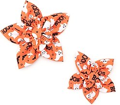 The Worthy Dog Spooky Flower Dog Collar Accessory, Orange, Small slide 2 of 3