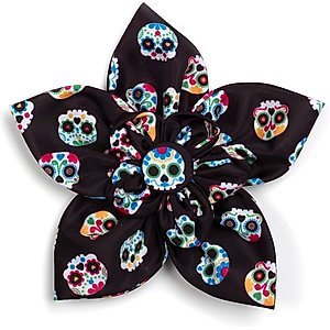 The Worthy Dog Skeletons Flower Dog Collar Accessory, Black, Large