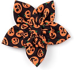 The Worthy Dog Jack-O-Lantern Flower Dog Collar Accessory, Black, Large