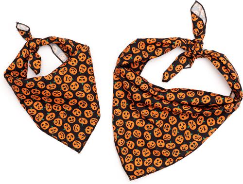 Show full view: The Worthy Dog Jack-O-Lantern Dog Bandana, Black, Small slide 2 of 3