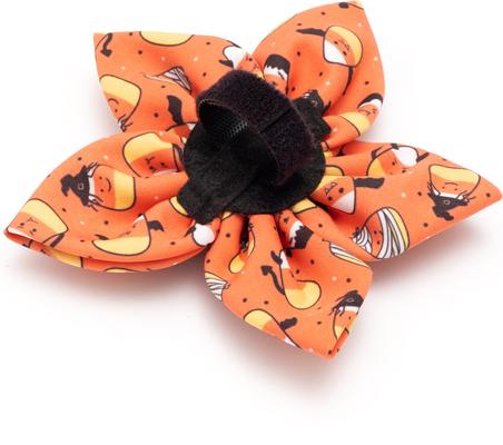 Show full view: The Worthy Dog Candy Corn Ghouls Flower Dog Collar Accessory, Orange, Small slide 3 of 3