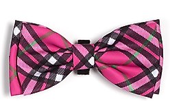 The Worthy Dog Bias Plaid Dog Bow Tie, Pink, Small