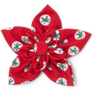 The License House Ohio State Tossed Decals Flower Dog Collar Accessory, Red, Large