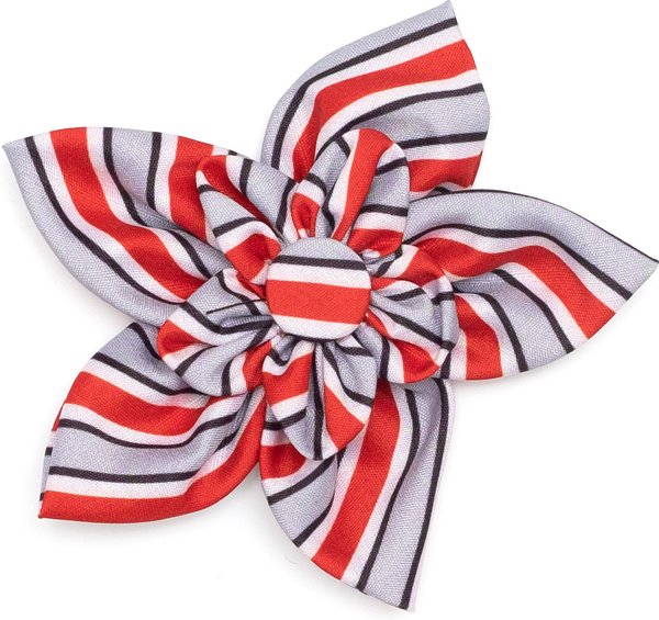 Show full view: The License House Ohio State Helmet Stripe Flower Dog Collar Accessory, Gray, Large slide 1 of 3
