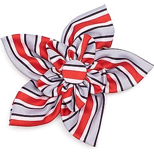 The License House Ohio State Helmet Stripe Flower Dog Collar Accessory, Gray, Large