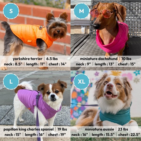 Show full view: Gooby Puffer Dog Vest, Turquoise, X-Small: 11.75-in chest slide 5 of 6