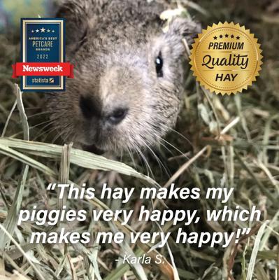 Show full view: Small Pet Select Third Cut Timothy Hay Small Animal Food, 40-lb box slide 6 of 9