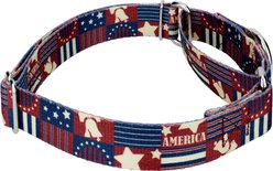 Country Brook Petz Spirit of '76 Martingale Dog Collar, XX-Small: 7 to 10-in neck, 1/2-in wide slide 2 of 7