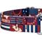 Show in main carousel: Country Brook Petz Spirit of '76 Martingale Dog Collar, Large: 18 to 26-in neck, 1-in wide slide 7 of 7