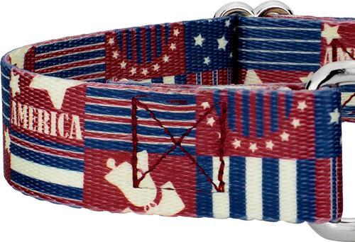 Show full view: Country Brook Petz Spirit of '76 Martingale Dog Collar, Large: 18 to 26-in neck, 1-in wide slide 7 of 7