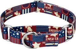 Country Brook Petz Spirit of '76 Martingale Dog Collar, Medium: 15 to 21-in neck, 1-in wide