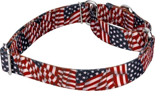Show full view: Country Brook Petz Patriotic Tribute Martingale Dog Collar, X-Large: 23 to 31-in neck, 1-in wide slide 7 of 8
